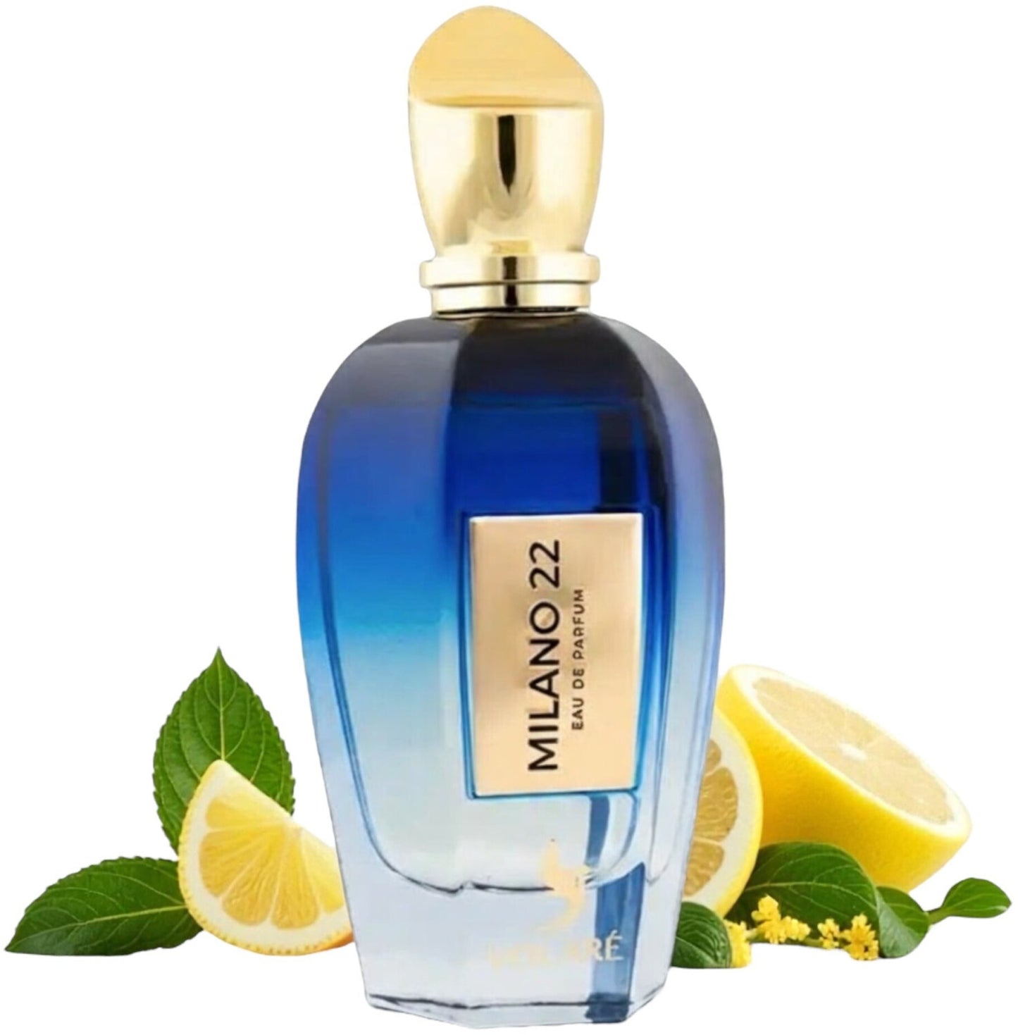 Milano 22 volare Eau de Parfum 100ml