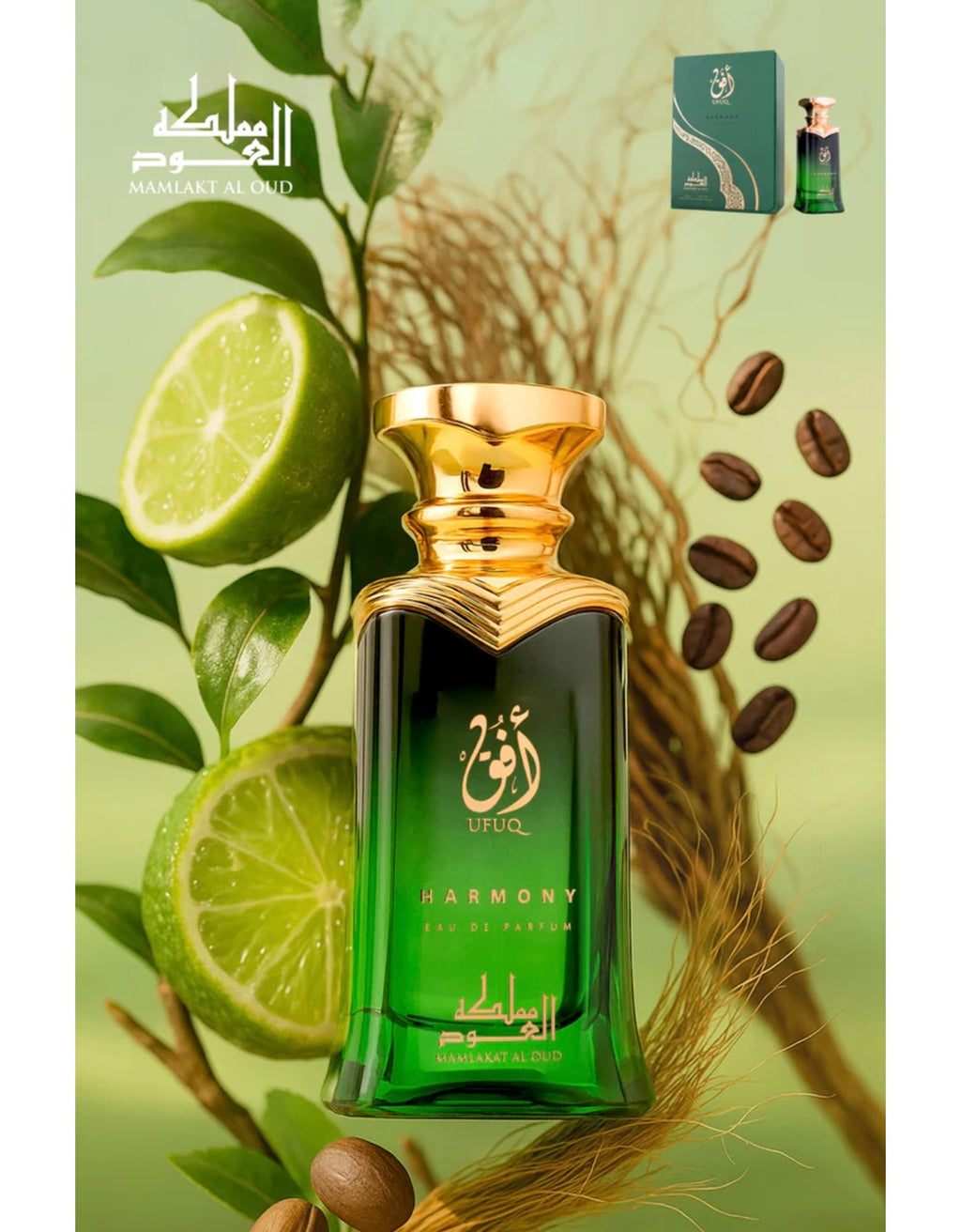 Ufuq harmony mamlakat al oud Eau de Parfum 100 ml