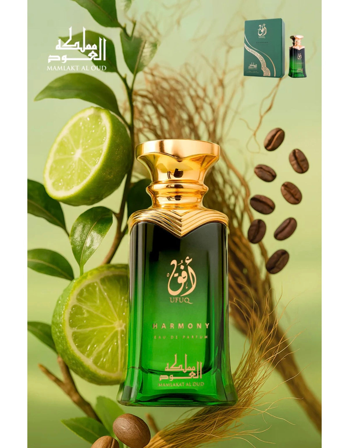 Ufuq harmony mamlakat al oud Eau de Parfum 100ml