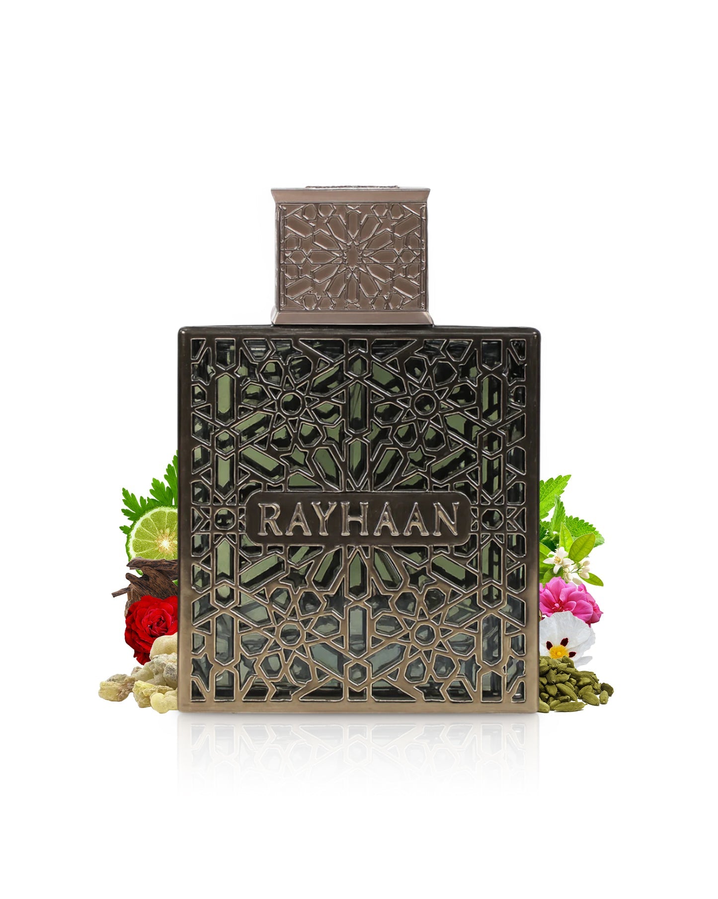 Rayhaan Terra Eau de Parfum 100ml