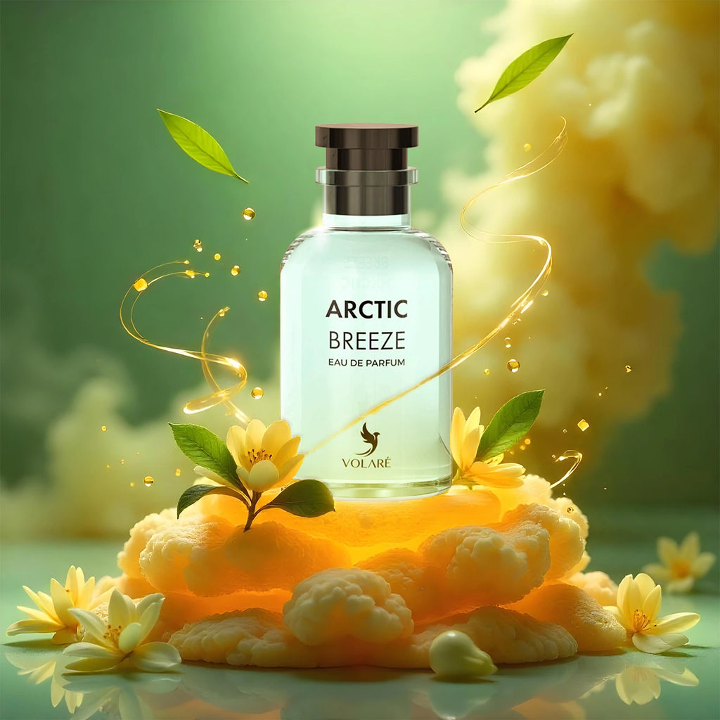 Arctic Breeze volaré Eau de Parfum 100 ml