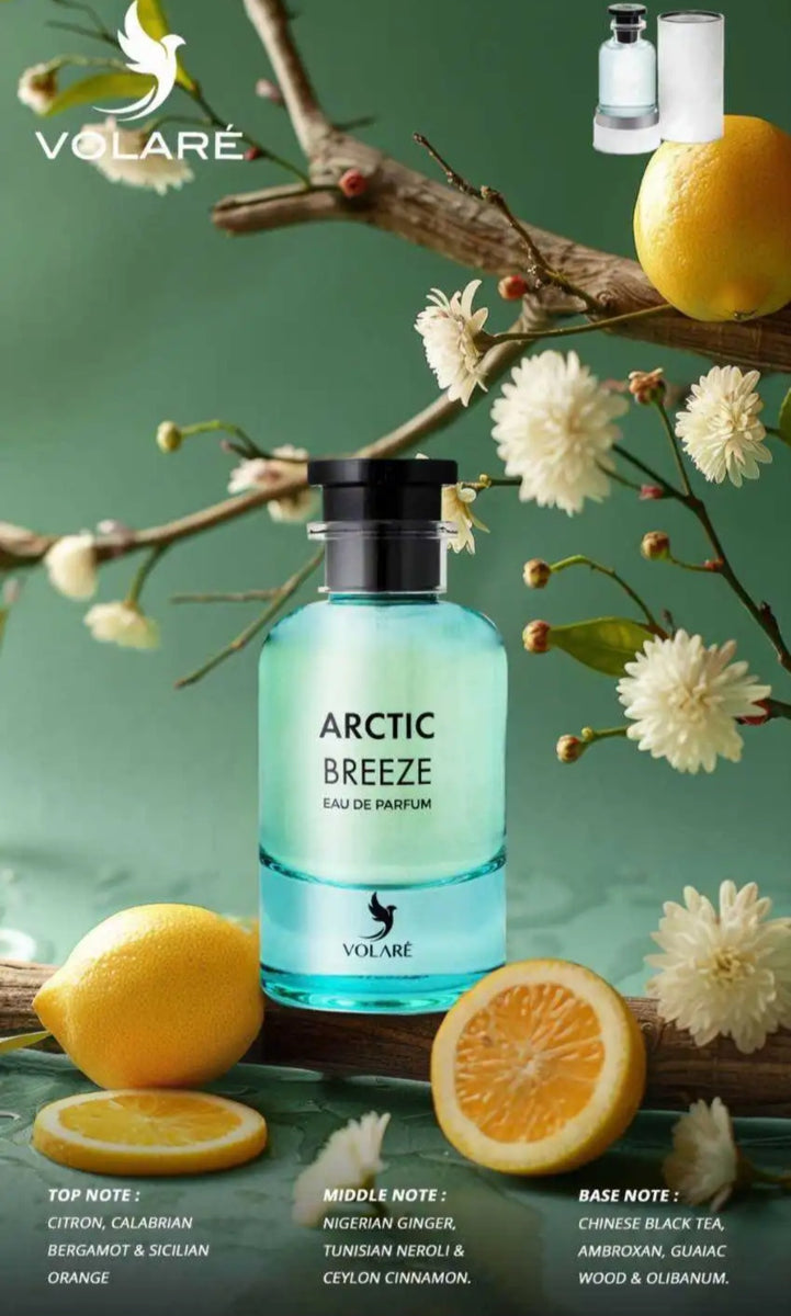 Arctic Breeze volaré Eau de Parfum 100 ml