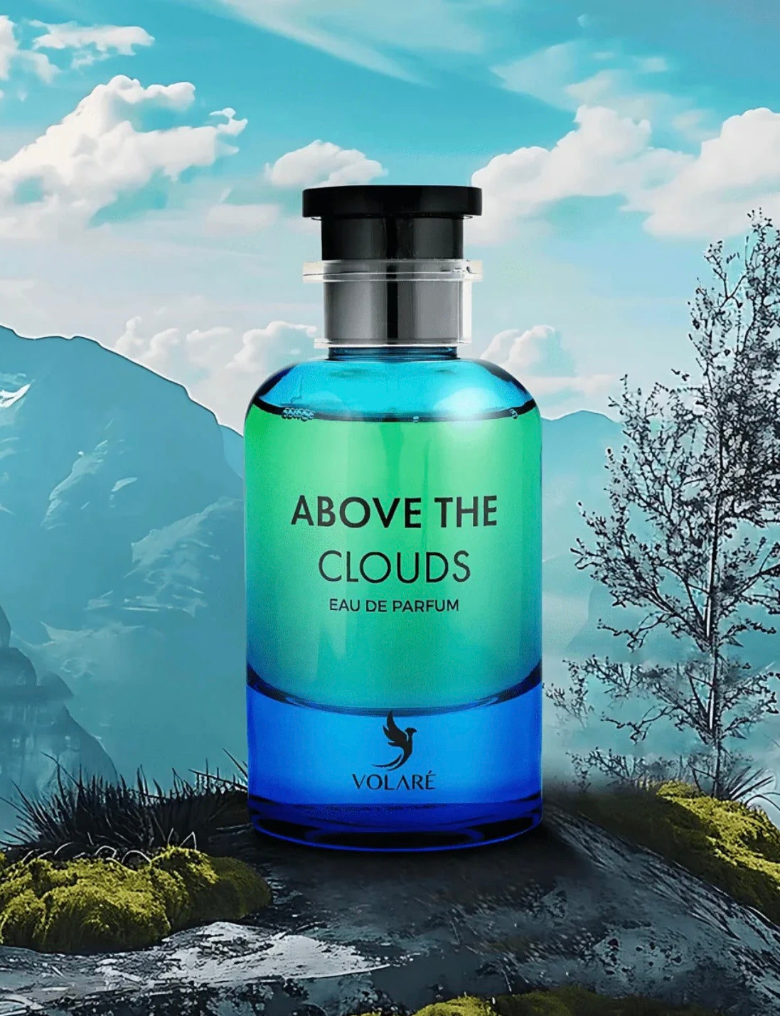 Above The Clouds volaré