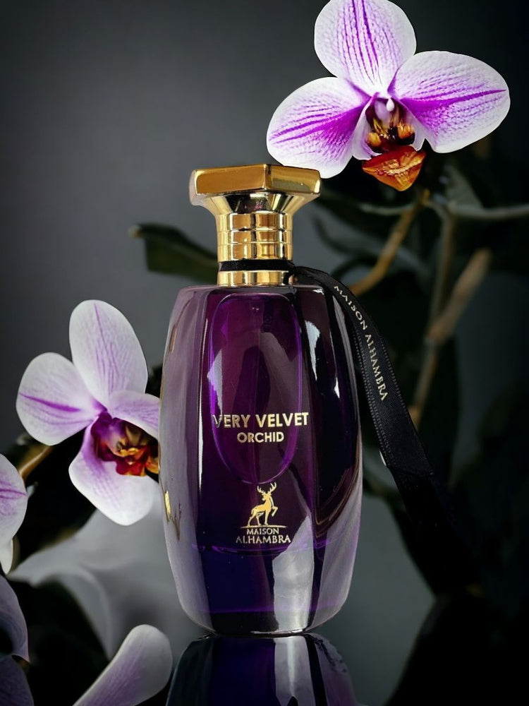 Very Velvet Orchid