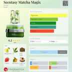 Matcha Magix Armaf Eau de Parfum 100 ml