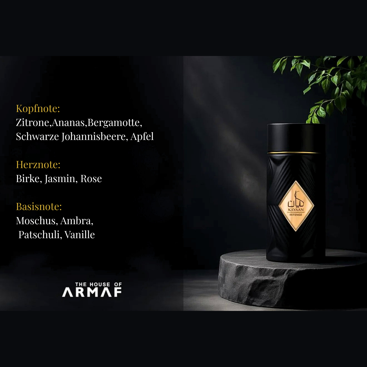 Kayaan intense Armaf Eau de Parfum 100ml