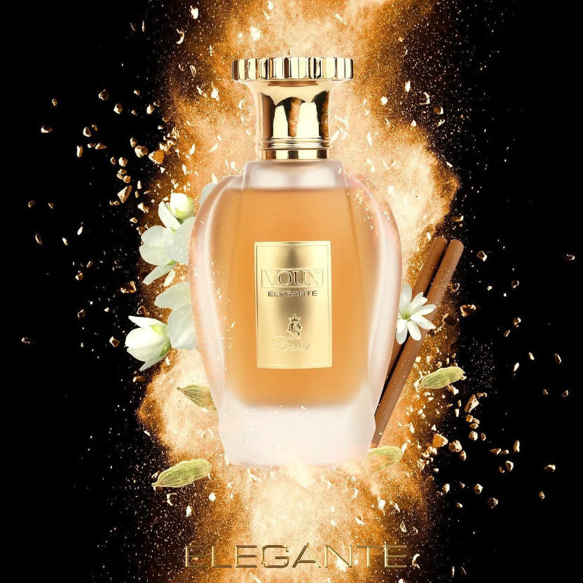 Voux Elegante Paris Corner Eau de Parfum 100 ml