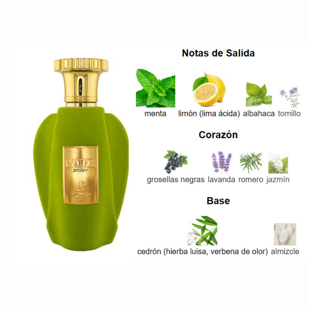 Voux Zingy Paris Corner Eau de Parfum 100 ml
